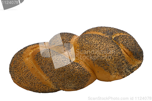 Image of loaf of  fresh wheat  bread