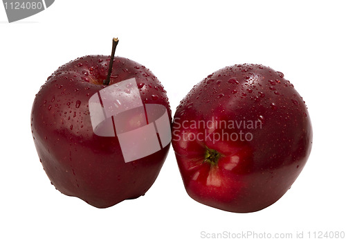 Image of two ripe bright red apple 