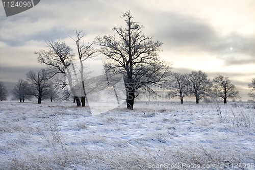 Image of winter landscape