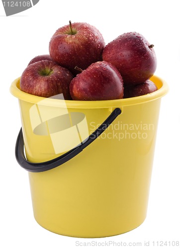 Image of     red apples in a yellow bucket