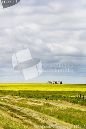 Image of Prairie Landscape