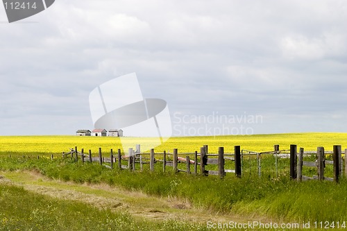 Image of Prairie Landscape - Fence Line