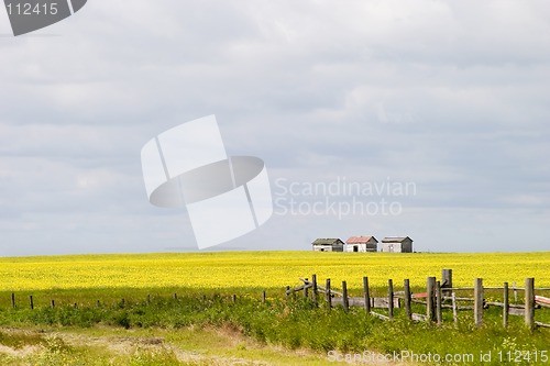 Image of Prairie Landscape - Fence Line