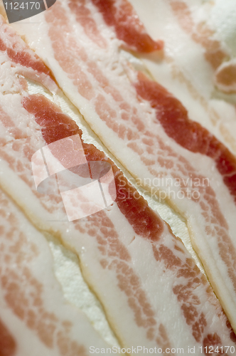 Image of raw bacon strips on paper towel selective focus for microwave