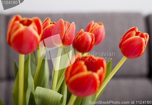 Image of Orange Tulips