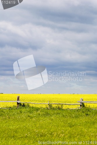 Image of Prairie Landscape - Fence Line