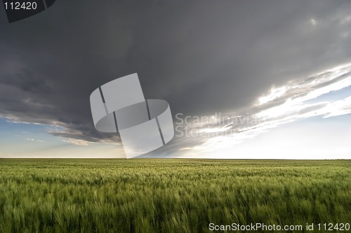 Image of Prairie Sky Landscape