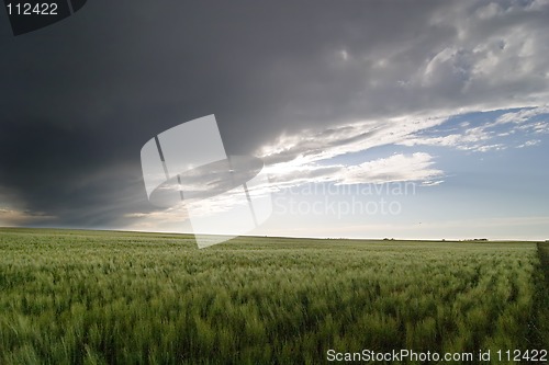 Image of Prairie Sky Landscape