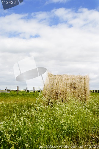 Image of Hay Bail