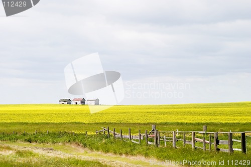 Image of Prairie Landscape