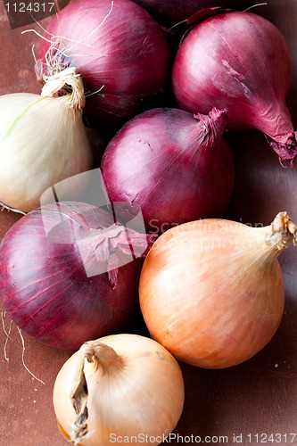 Image of Red and yellow onions
