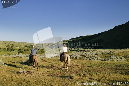 Image of Cattle Round Up