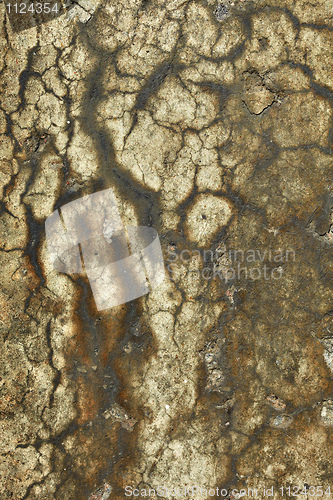 Image of Dirty stone wall