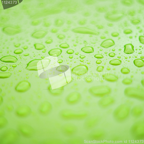 Image of Green surface with drops of water