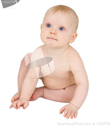 Image of Baby sits isolated on white background