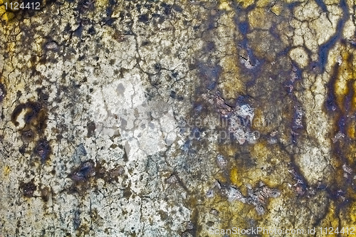 Image of Moldy wall of old building - background