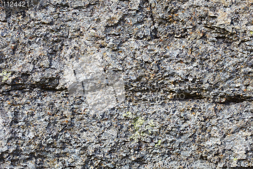 Image of Gray rough surface of natural stone