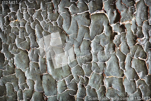 Image of Disgusting damaged wall with craquelure