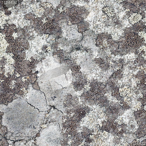 Image of Granite rock with lichen - seamless texture