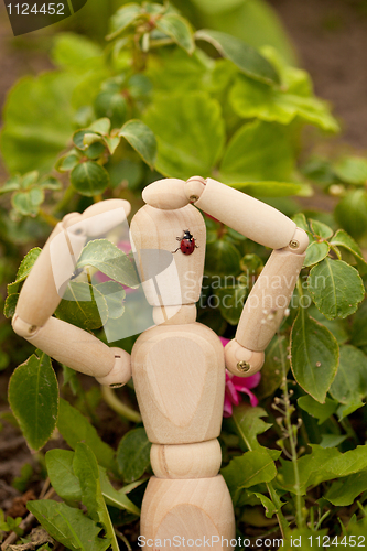 Image of Ladybird sits on toy wooden man