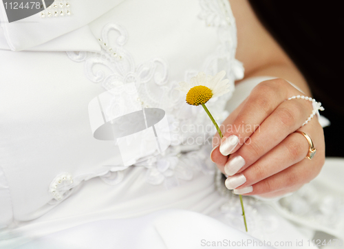 Image of Woman wonders with chamomile