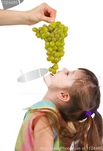 Image of Funny little girl eating grapes from hand