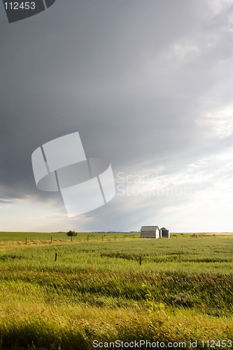 Image of Prairie Field