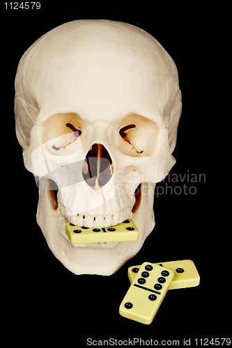 Image of Skull eating dominoes