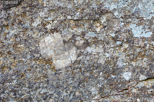 Image of Background - gray rock with lichen