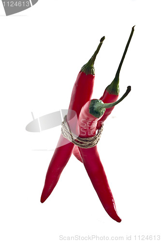 Image of bunch of red hot chilli pepper, tied by rope