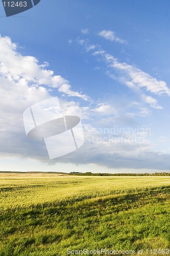 Image of Prairie Sky Landscape