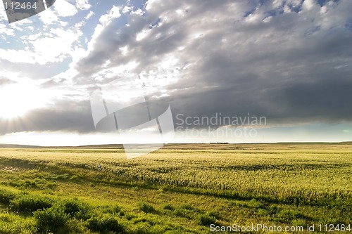 Image of Prairie Sky Landscape