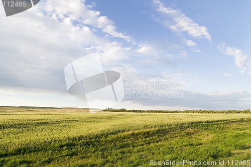 Image of Prairie Sky Landscape