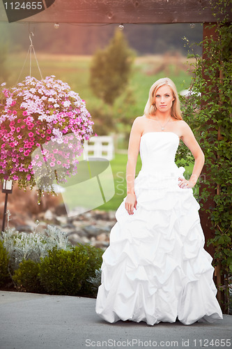 Image of Beautiful bride