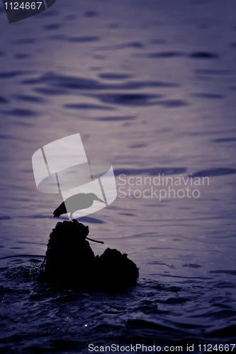 Image of Heron Silhouette