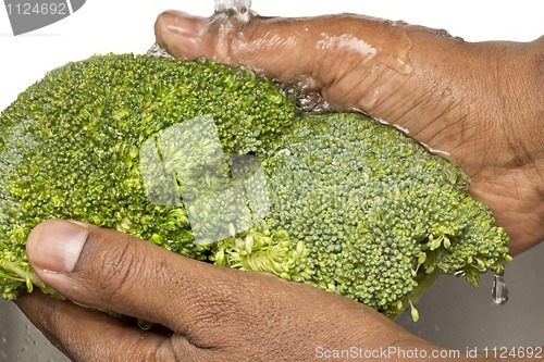 Image of Washing broccoli