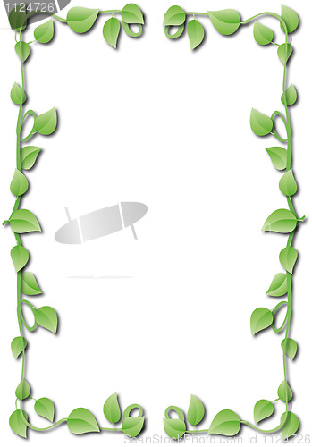 Image of frame of green leaves