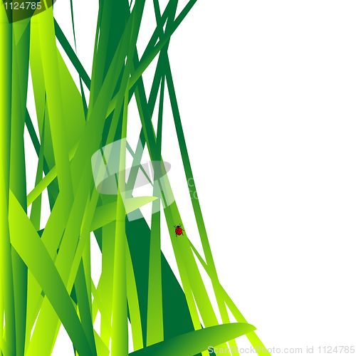 Image of Fresh grass leaves background