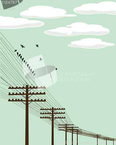 Image of Flying birds