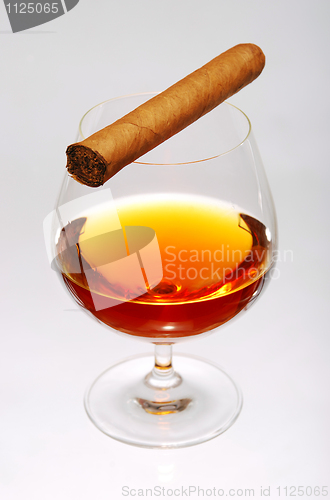 Image of Glass of cognac 