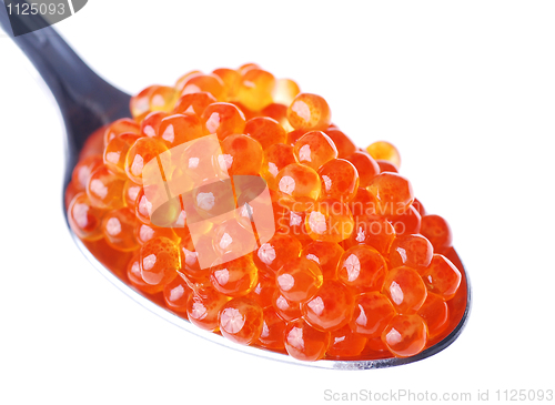 Image of Fresh red caviar 