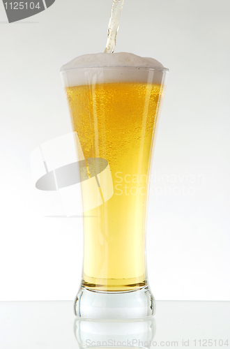 Image of Glass of beer 