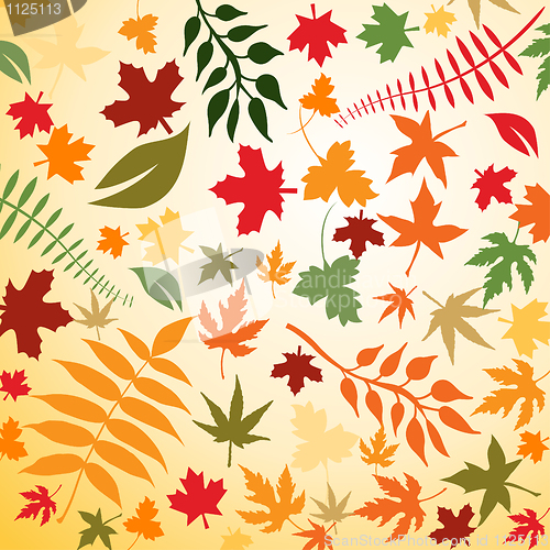 Image of Autumn Leaves 