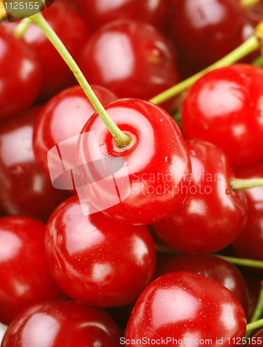 Image of bunch of fresh cherries