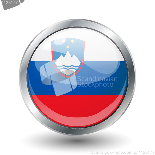 Image of shiny button flag 