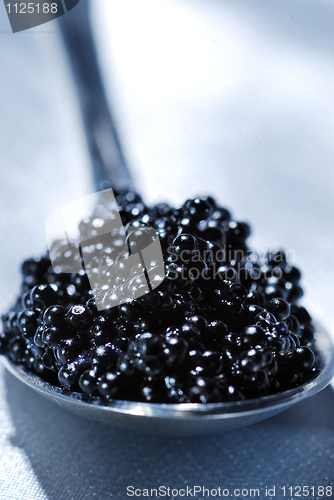 Image of Black caviar 