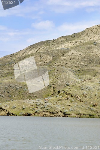 Image of River Hills