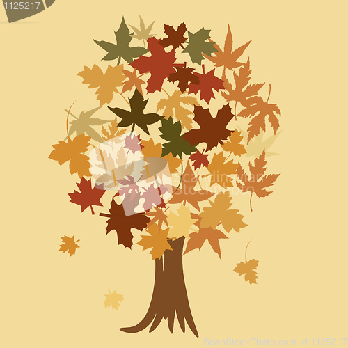 Image of Autumn tree