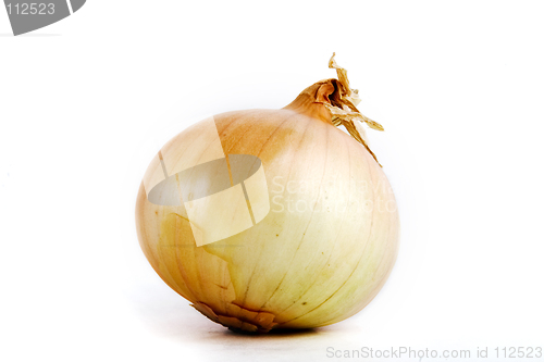 Image of Onion