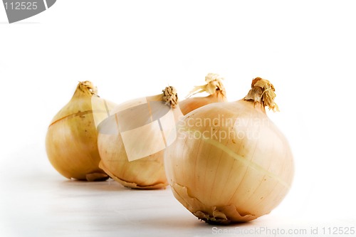 Image of Onion Group